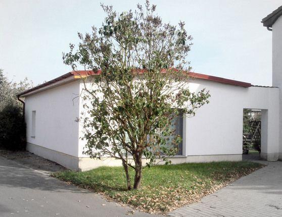Ferienhaus-Poweleit Börgerende-Rethwisch Esterno foto